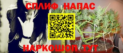амф Малгобек