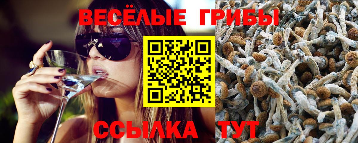 Псилоцибиновые грибы MAGIC MUSHROOMS Шелехов