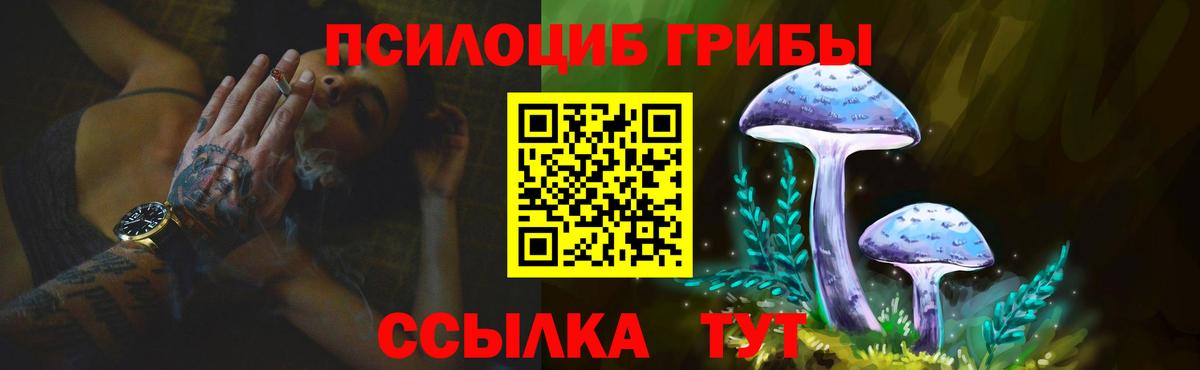 Галлюциногенные грибы Cubensis  Вход с VPN  Шелехов 